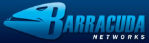 barracuda networks logo